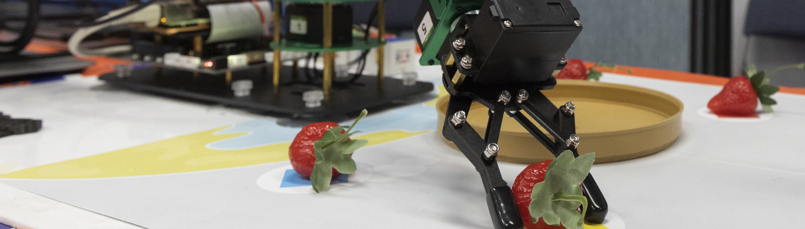 An image of an AI machine grasping a strawberry.