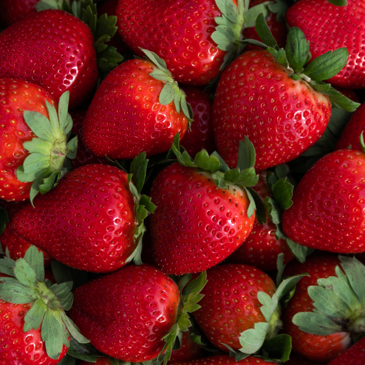 close up of fresh strawberries in container