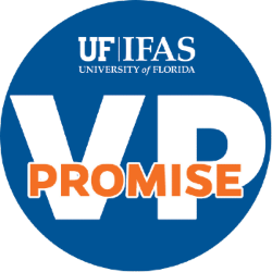 a circular icon for the VP Promise campaign